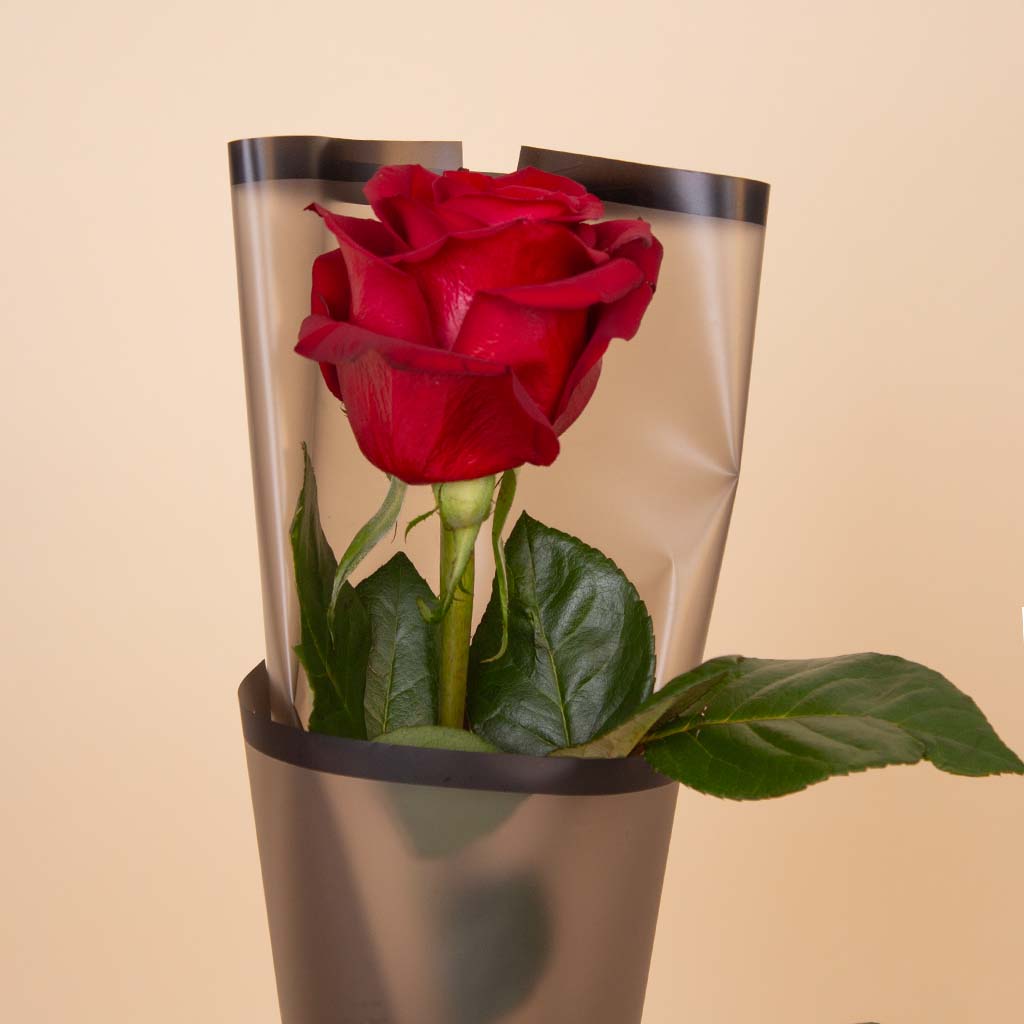 Single Red Rose Bouquet