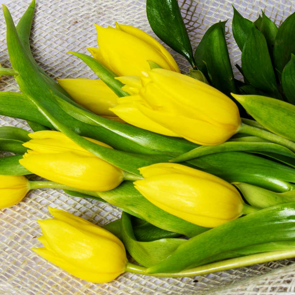 Yellow Tulips Bouquet