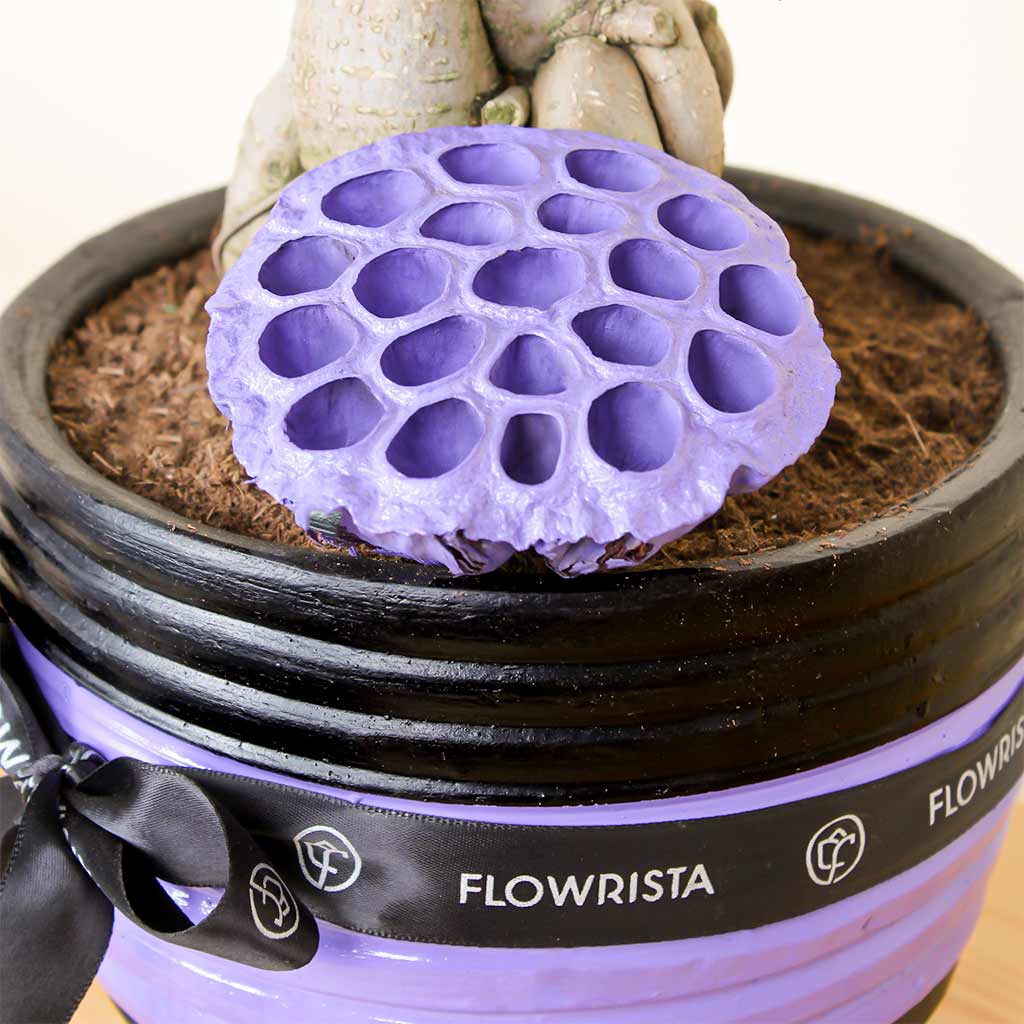 Versatile Decor Piece: Pottery Pot Vase for Luxury Interiors