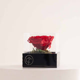 Eternity Rose Box