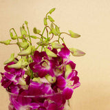 Baby Orchid Flower Vase - 10 Roses
