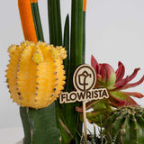 Cylindrical Snake Plant & Yellow Moon Cactus Vase Ii
