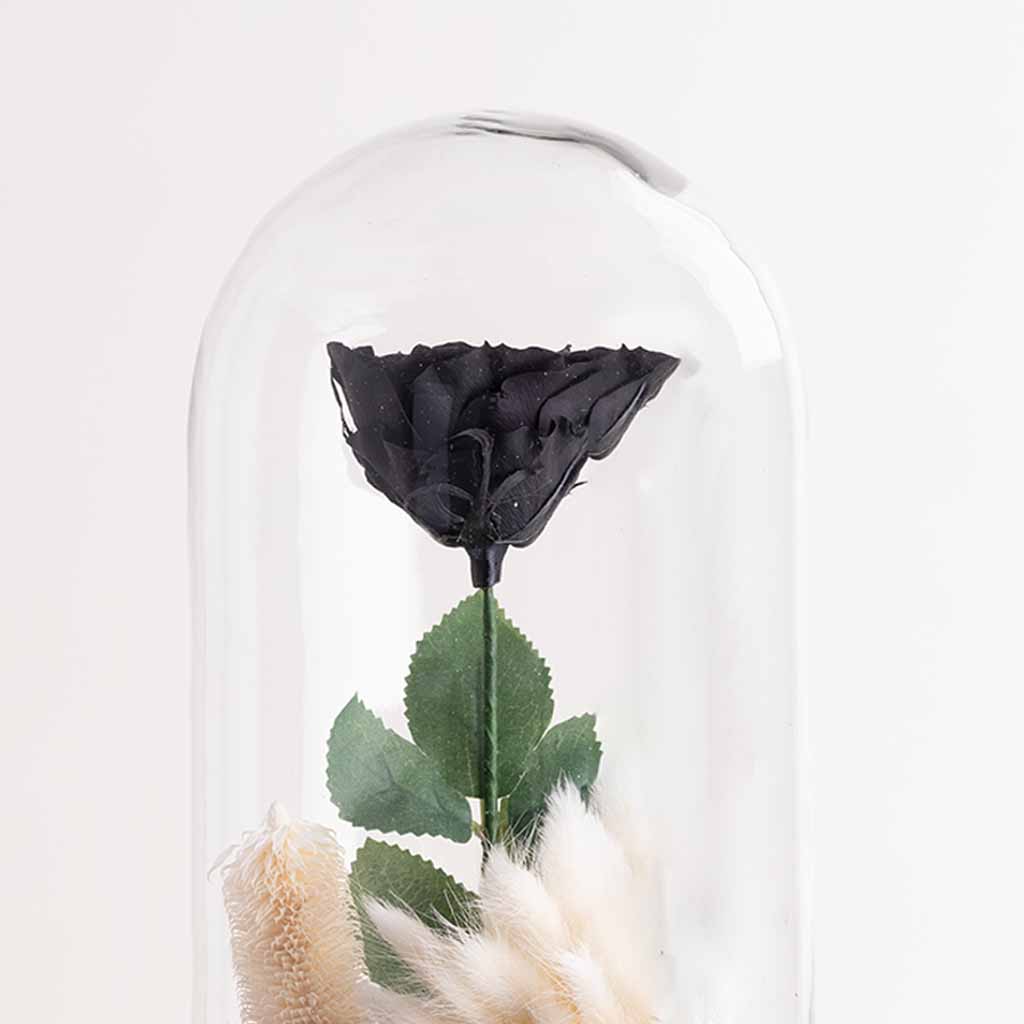 Black Eternity Rose