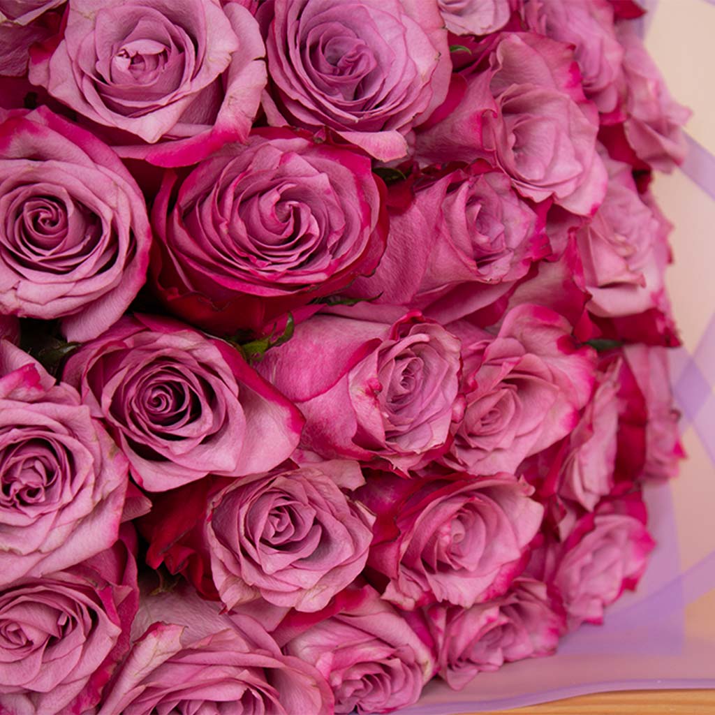 Bouquet of 30 Deep Purple Roses