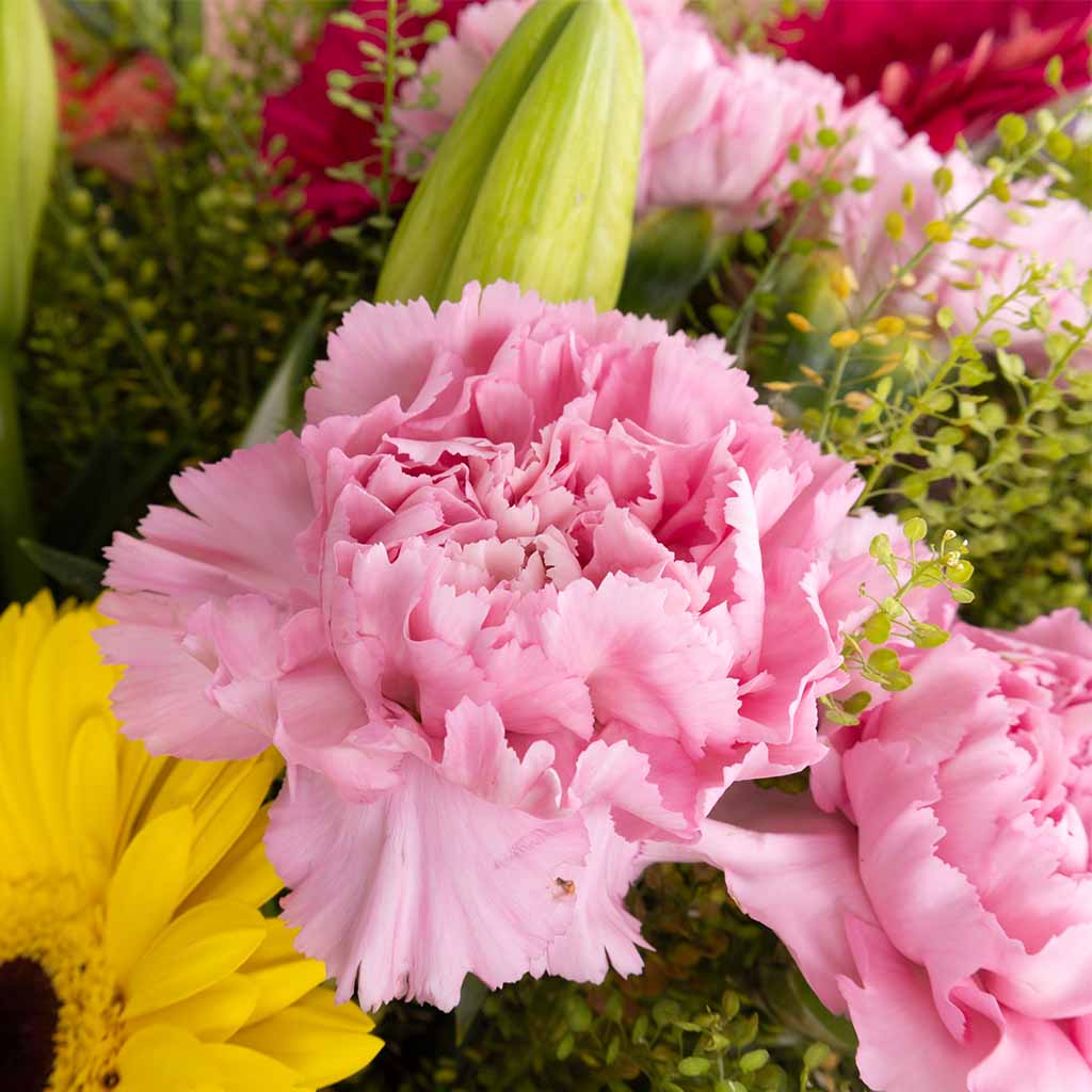 Joyful Blossom Mix