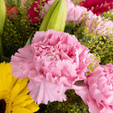 Joyful Blossom Mix