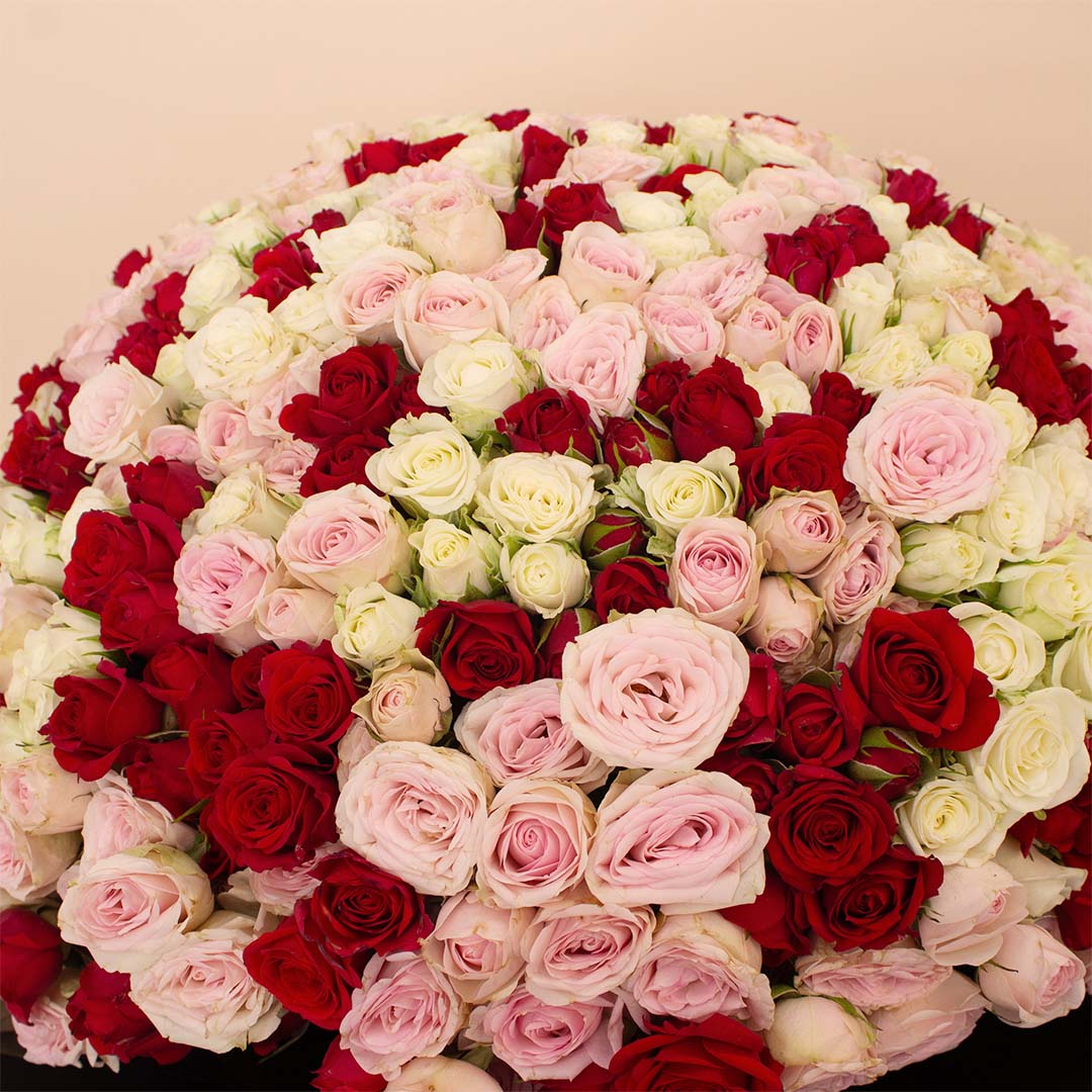 Flowrista | Bouquet of 200 White, Pink & Red Roses