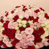 Flowrista | Bouquet of 200 White, Pink & Red Roses