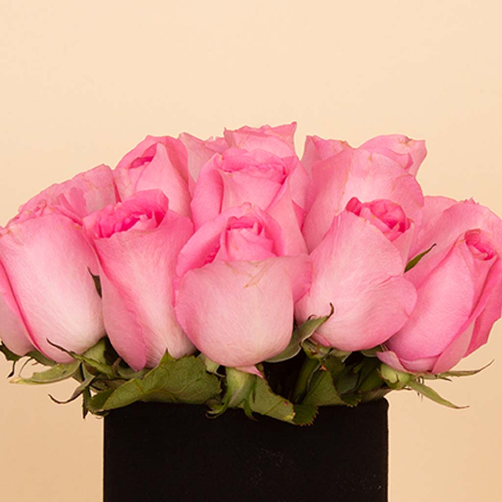 Blush Vase - 20 Pink Roses
