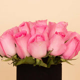 Blush Vase - 20 Pink Roses