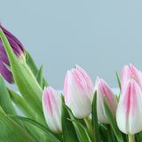 Flowrista | Pink & Purple Tulip Vase