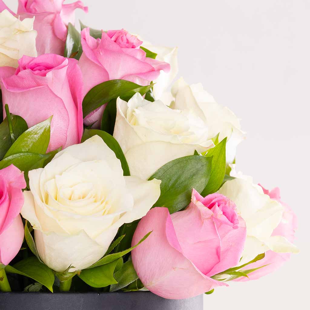 Flowrista White & Pink Rose Box