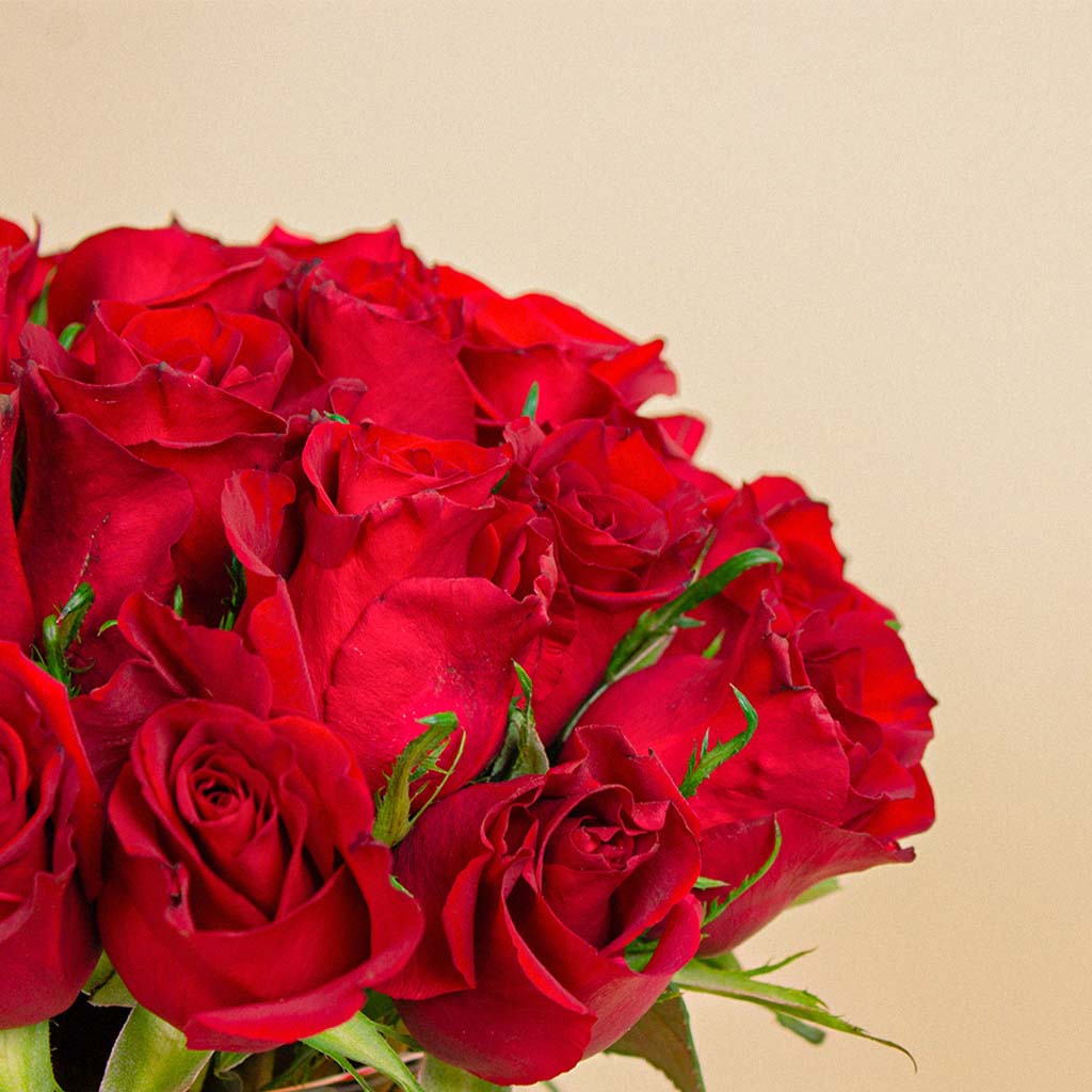 Pavo Black Tote Bag Handbag And 20 Red Roses Vase