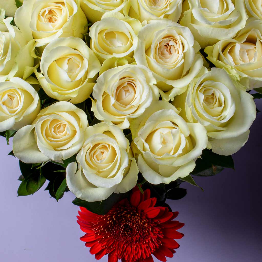 Flowrista | White Roses Vase – 15 Stems