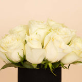 White Serenity Vase - 20 Roses