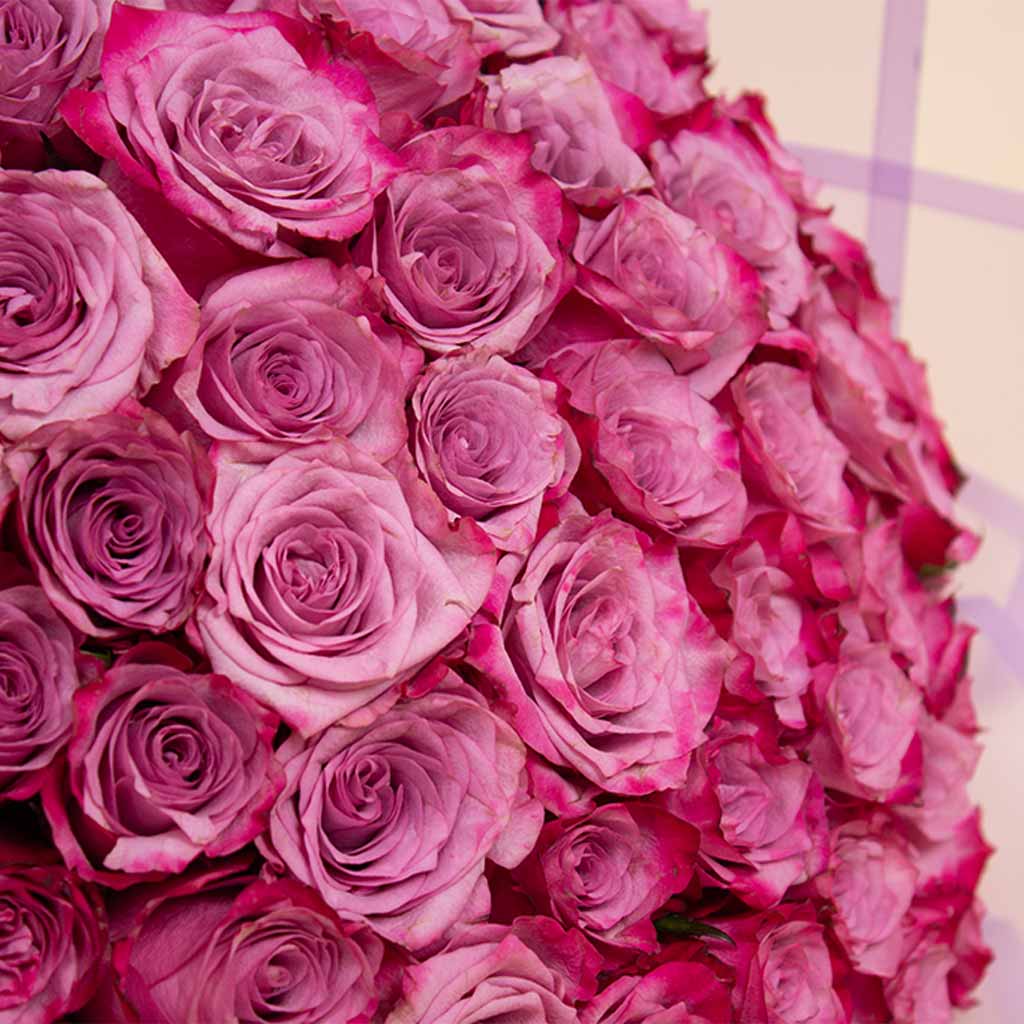 Deep purple 50 roses bouquet