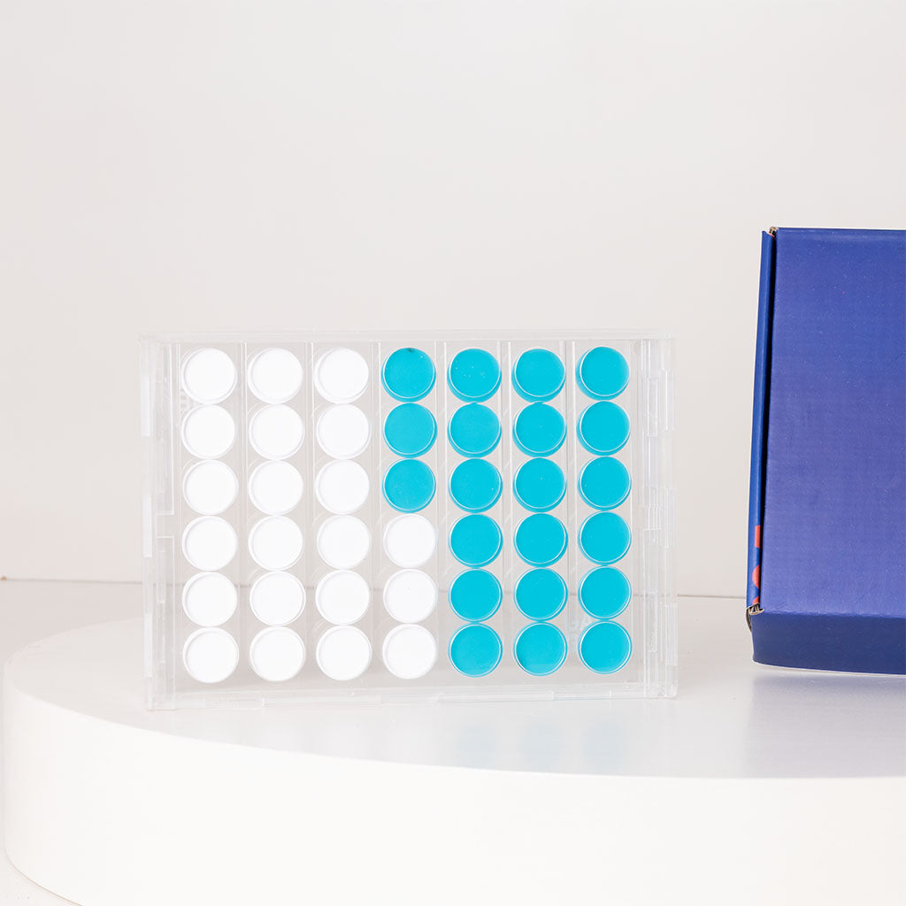 Game Guru Acrylic Connect Four Turquoise & White