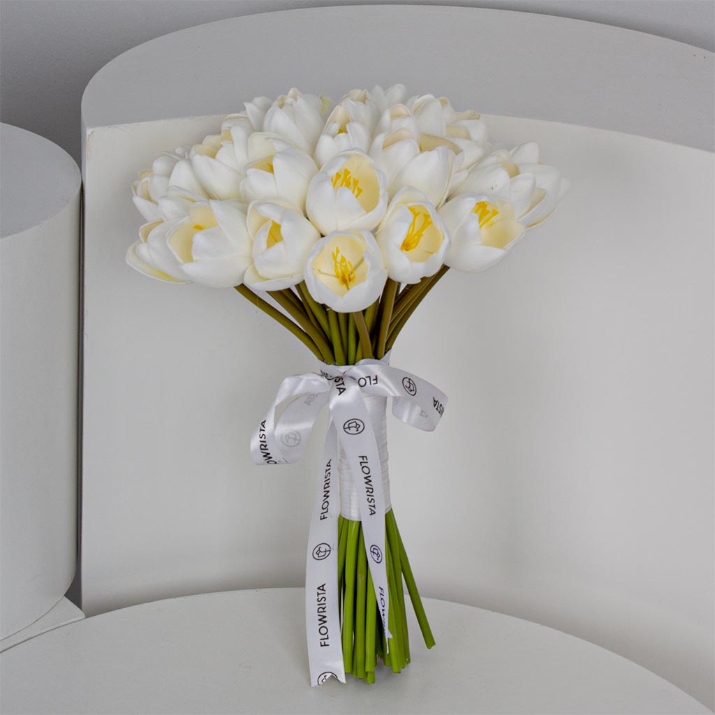 Jumbo Tulip jerb