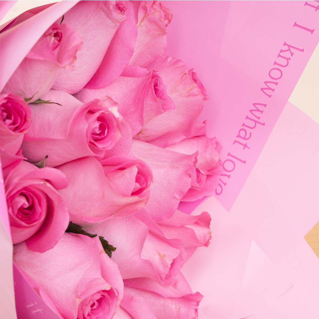 Alamki Bella Fuchsia Bag & Destiny Set with Pink Roses Bouquet