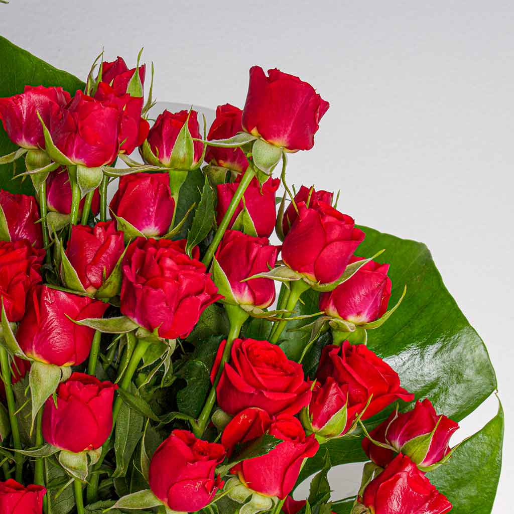 Pink & Red Baby Roses Bouquet