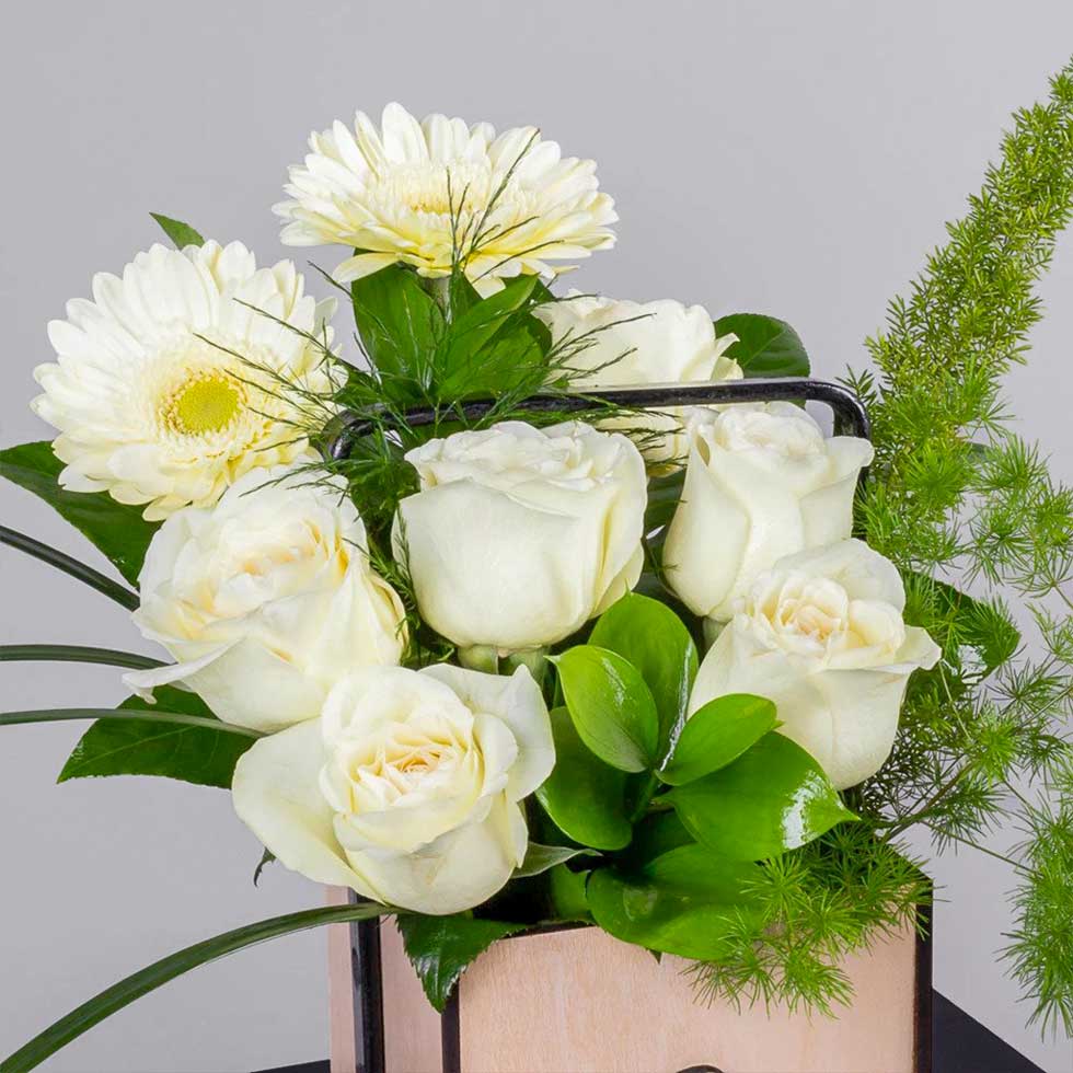 Bright Flowers