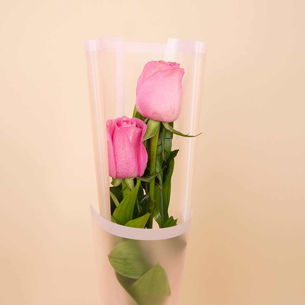 Duo Pink Roses Bouquet