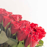 Red Roses Acrylic Bag - 70 Stems