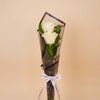 Duo White Roses Bouquet