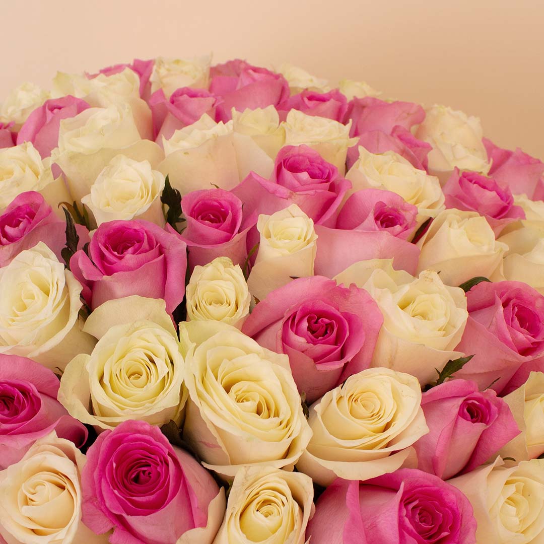 Flowrista | Grand Bouquet of 150 Pink & White Roses