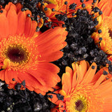 Amber Noir Bouquet