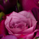 Vase of 15 Purple Roses - Velvet Petals