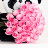 Panda Revival Love