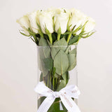 Soft Serenity Bundle