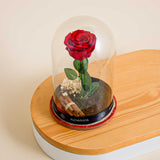 Red Eternity Rose