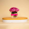 Deep Purple Roses Cube Vase – 20 Flowers