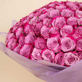 100 Deep purple Roses bouquet
