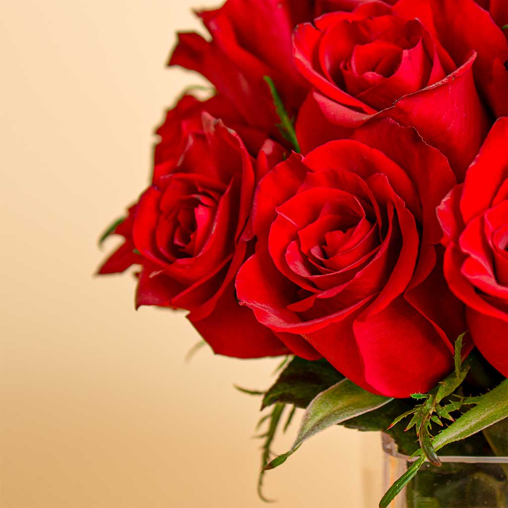 Nuit Fragrances Simmer Pot | 15 Red flower vase