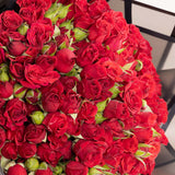 Red Baby Roses Bouquet - 30 Roses