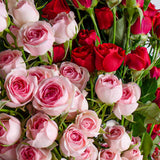 Pink & Red Baby Roses Bouquet
