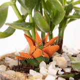 Desert Oasis Vase