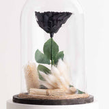 Black Eternity Rose