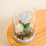 White Eternity Rose