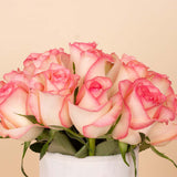 Pink Signature Vase - 20 Stems