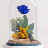 Blue Eternity Rose