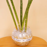 Lotus Bamboo Vase