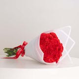 Carnation Grace