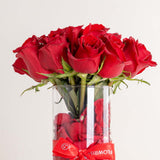 MUSC Wanted by Night & 15 Red Roses Vase