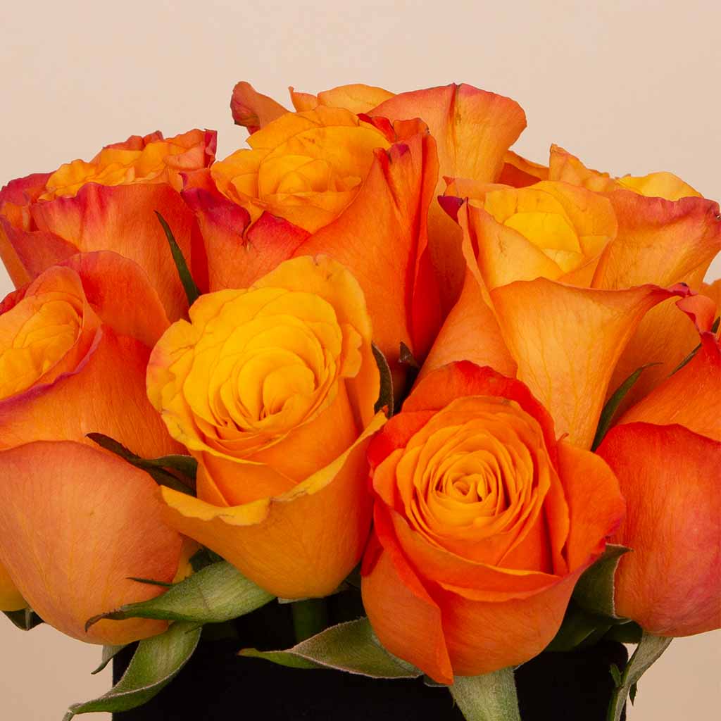 Sunset Ember Vase - 20 Orange Roses