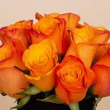 Sunset Ember Vase - 20 Orange Roses