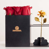 Caramel Signature Box